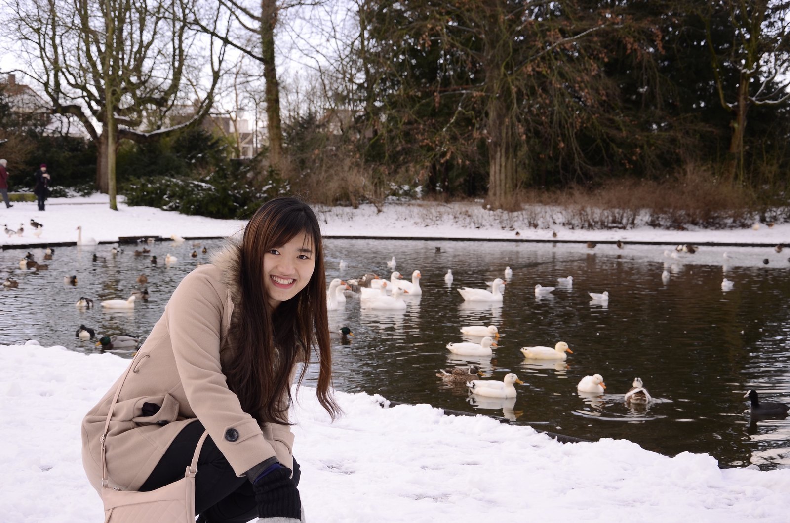 Như Chung, Founder và Academic Lead của Study Global 247